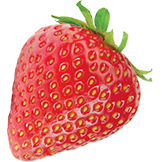 fruit snacks