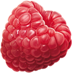 raspberry