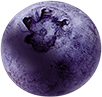 fruit blueberry