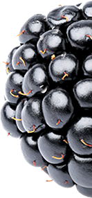 fruits snacks three