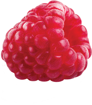 fruit snacks four