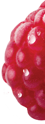 fruits snacks two