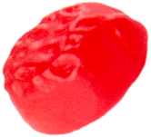 fruits snacks five