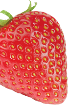 fruits snacks five