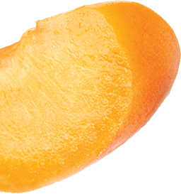 Apricot