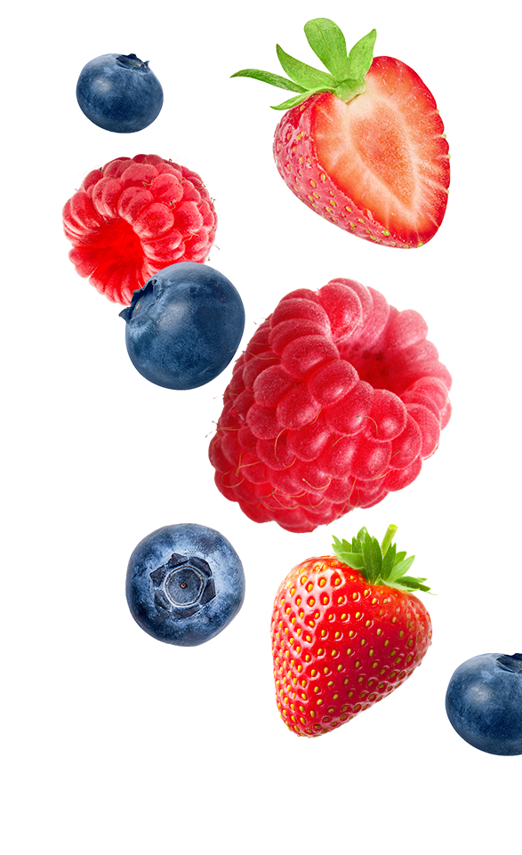 Fruitfuls<sup>™</sup> No Added Sugar