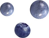 blueberry