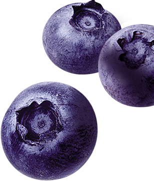 blueberries