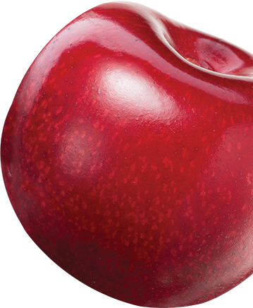 cherry