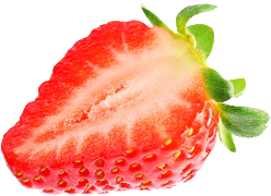 fruit'n yogurt