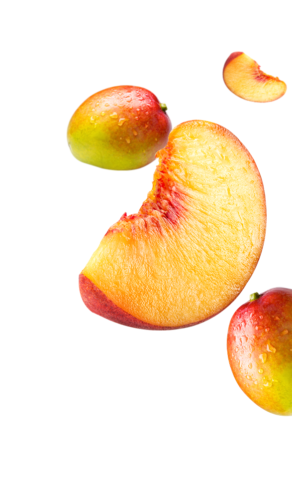 Fruit ‘n  Yogurt<sup>™</sup>