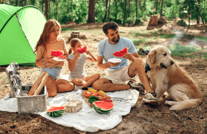 Family Picnic Ideas | Food, Snacks, & Fun
