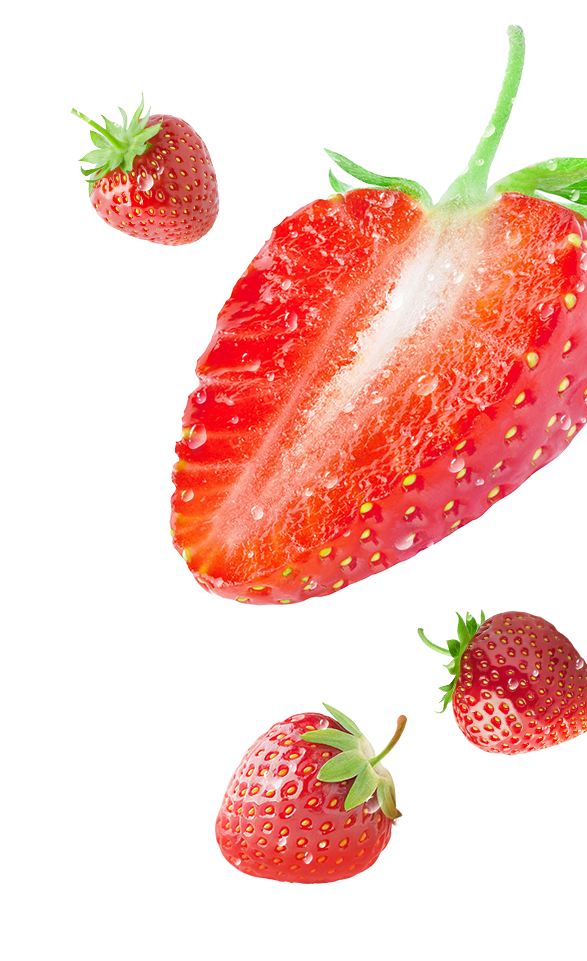 Fruit ‘n  Yogurt<sup>™</sup>
